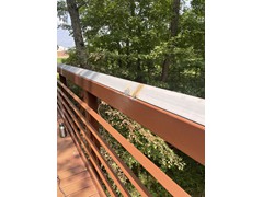 IMG_0206